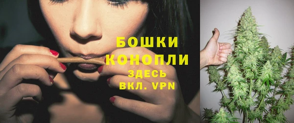 твердый Козловка