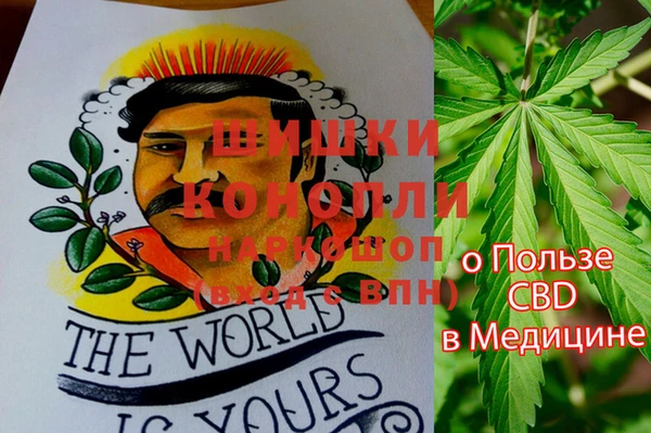 гидропоника Кинешма