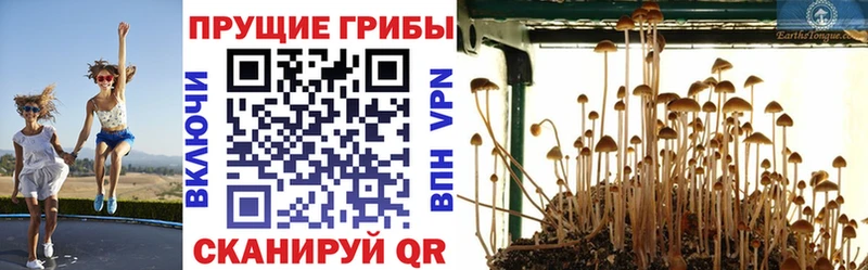 Псилоцибиновые грибы мухоморы  Купить  Нижние Серги 